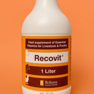 Multivitamin